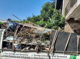 Demolition Debris Removal in Glencoe, MN